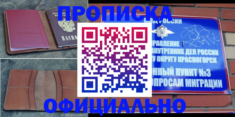 прописка в Дубне
